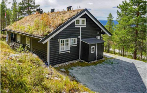 Beautiful home in Rendalen w/ 3 Bedrooms